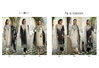 Blackberry By Kilory Muslin Printed Designer Salwar Suits Wholesale In Delhi